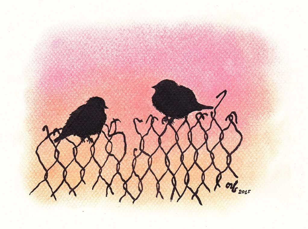Sparrows-on-the-wire-netting.jpg